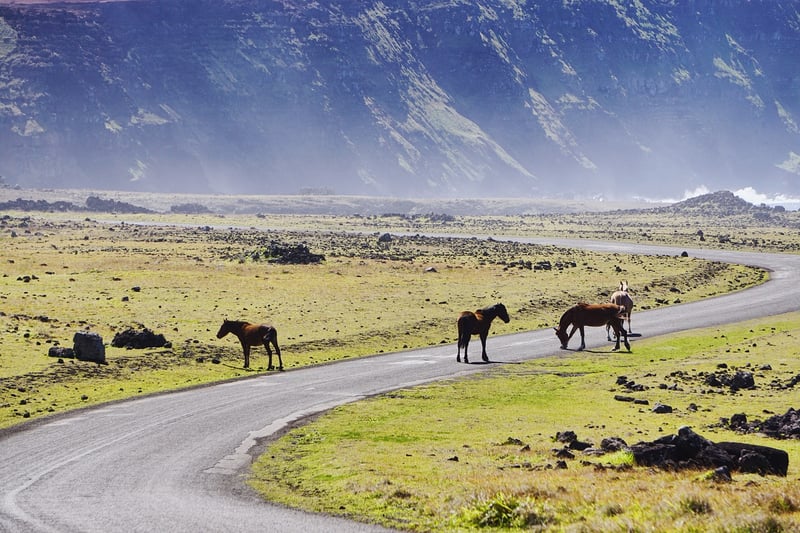 Easter Island, Chile